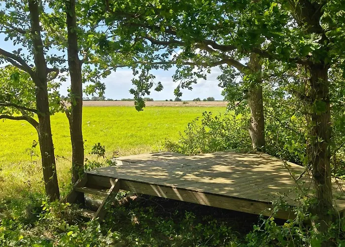 Handbuilt In Untouched Forest By Lango * נקסקוב
